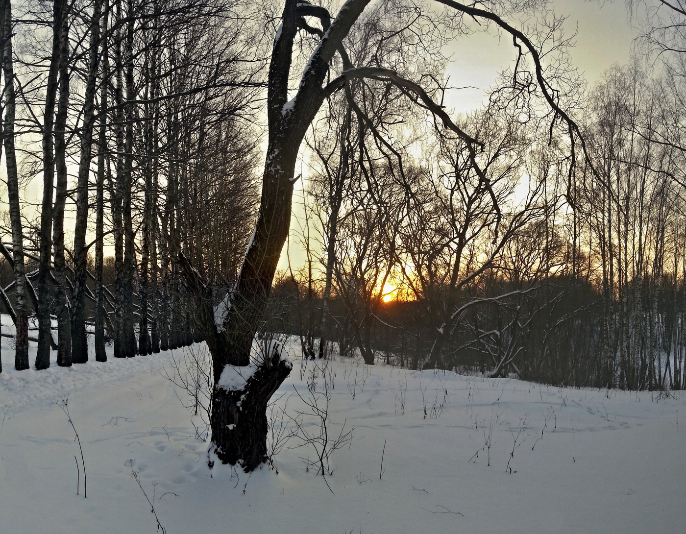 Sonnenuntergang im Winter