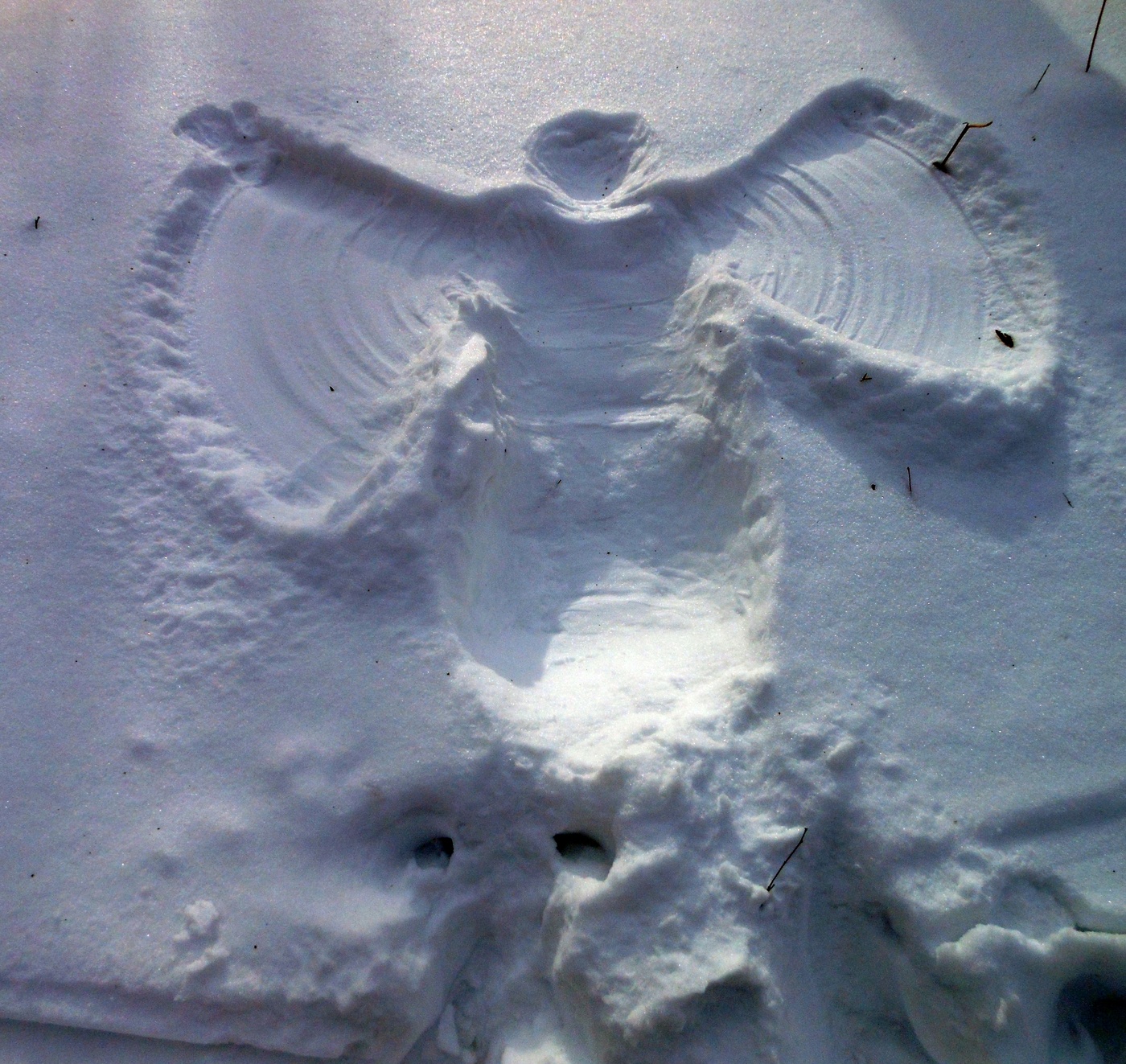 Snow Angel