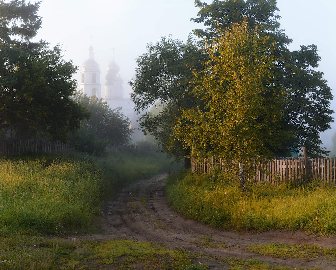 Im Nebel der Morgendämmerung
