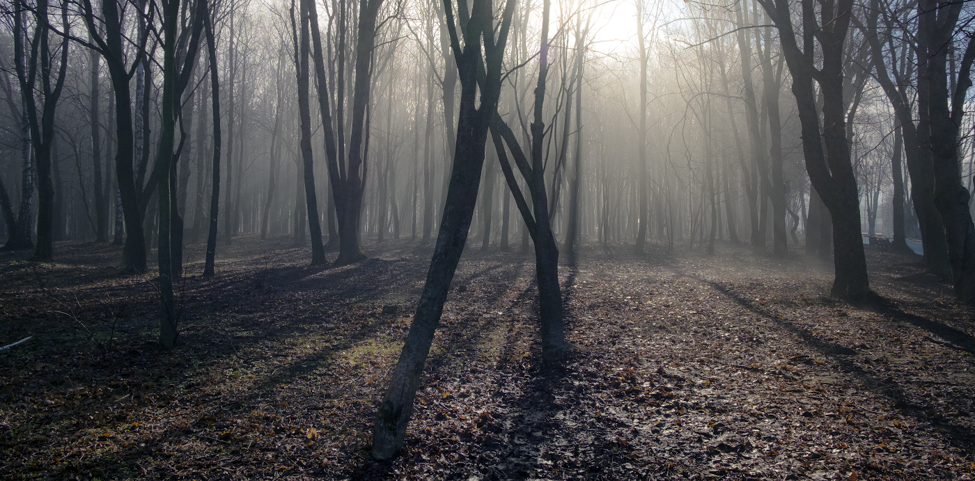Warten auf den Frühling