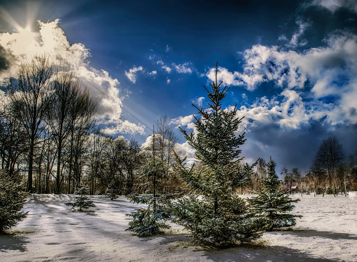 Der Ansatz der Feder