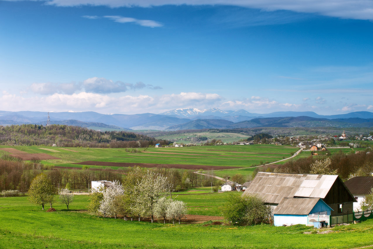 Frühling liegt in der Nähe