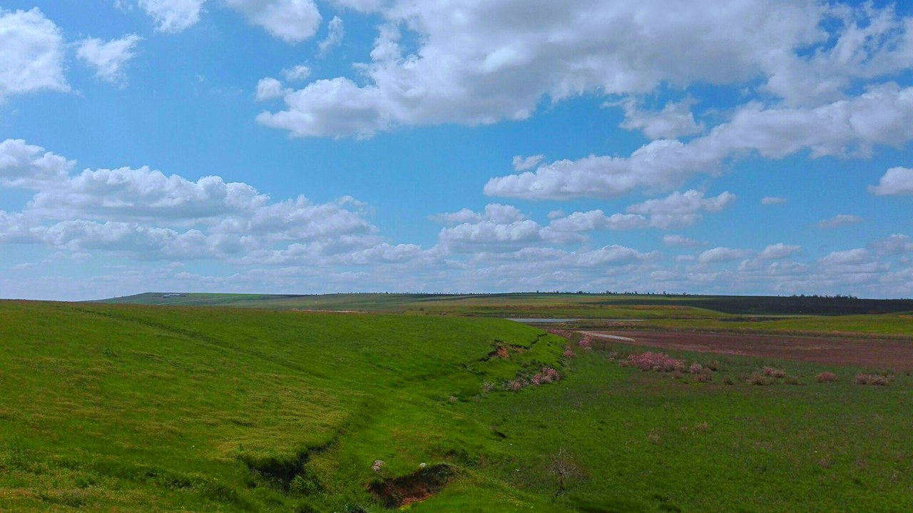 Einheimische Freiflächen