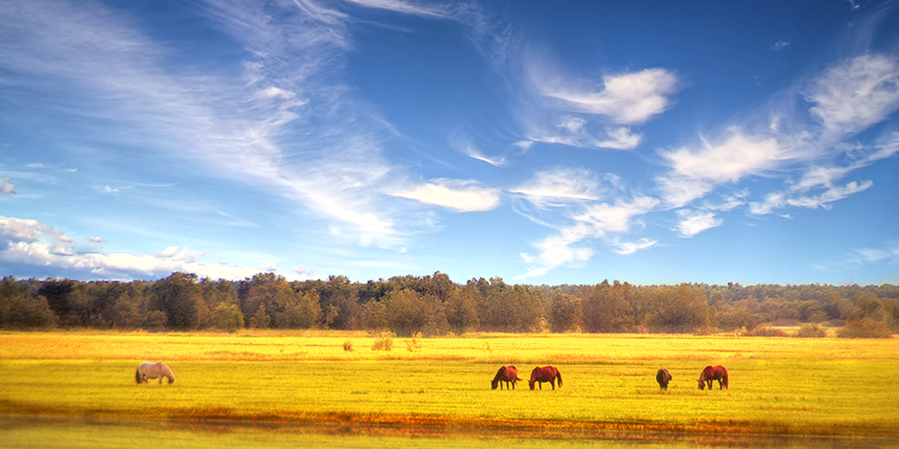 Unter dem blauen Himmel ...