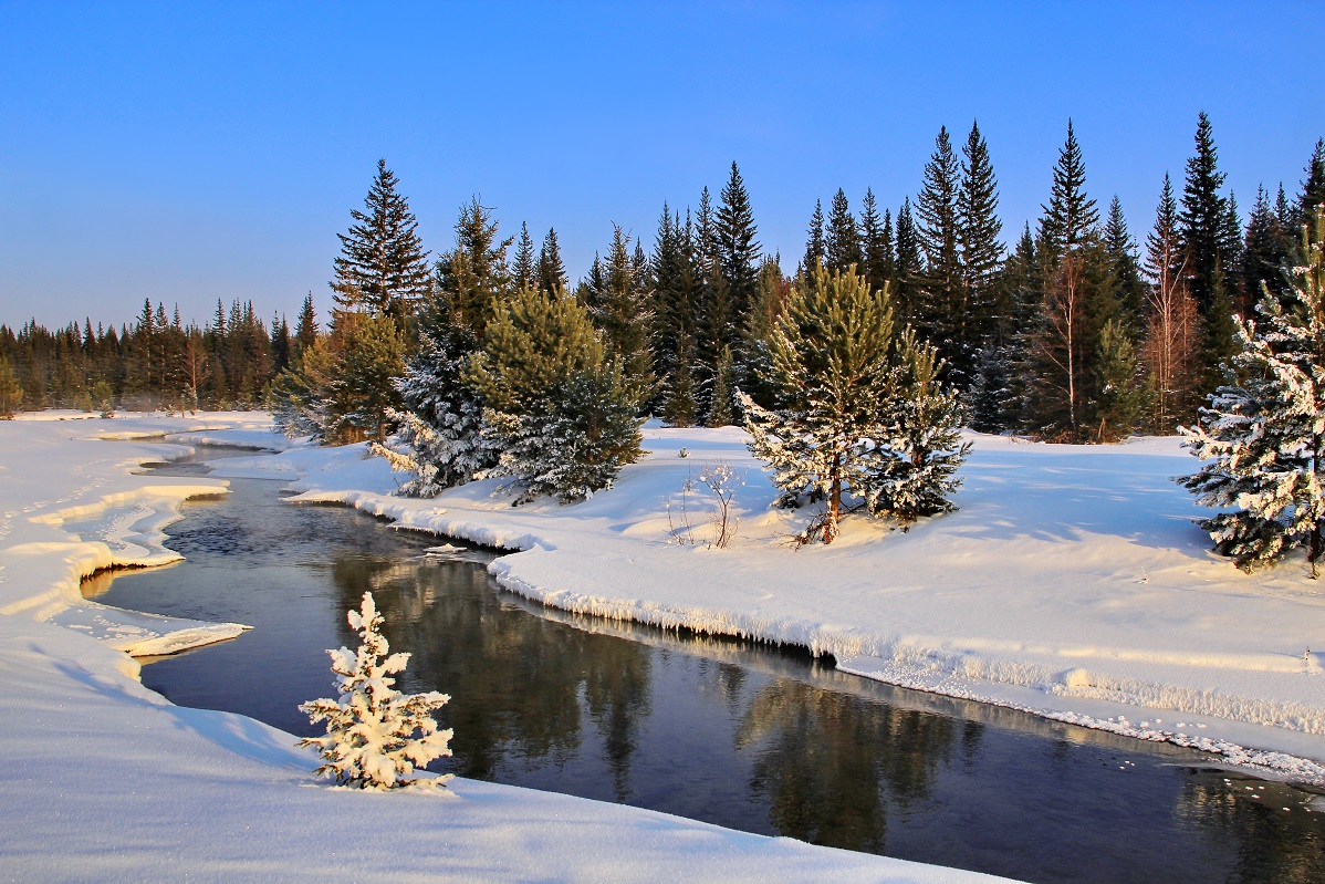 Der Frühling kommt ...