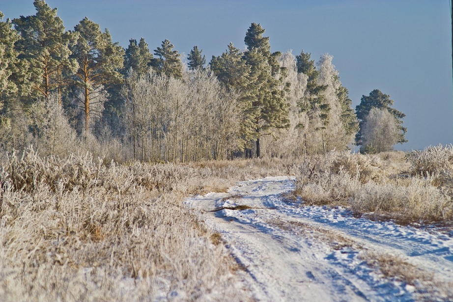 Ein frostiger Morgen