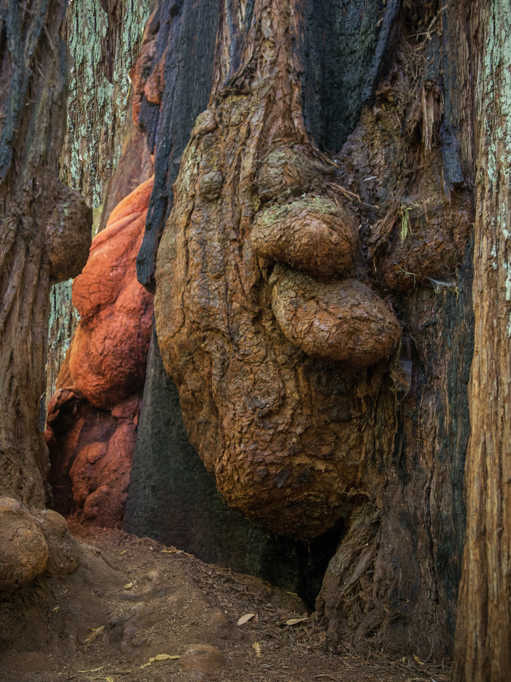 Es gibt Wunder draußen wandernde Goblin ...