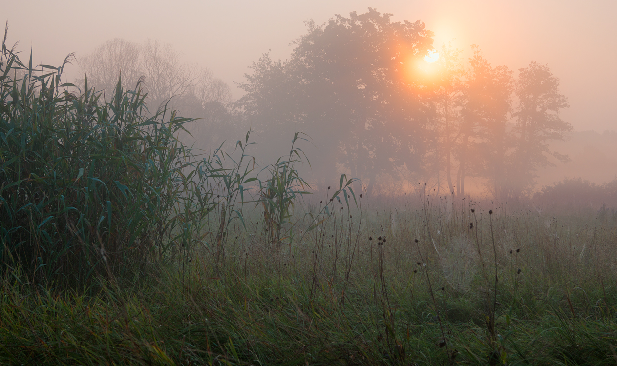 Das Gefühl der Morgendämmerung