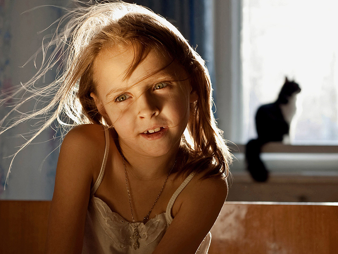 Wer hat gesagt, miauen?