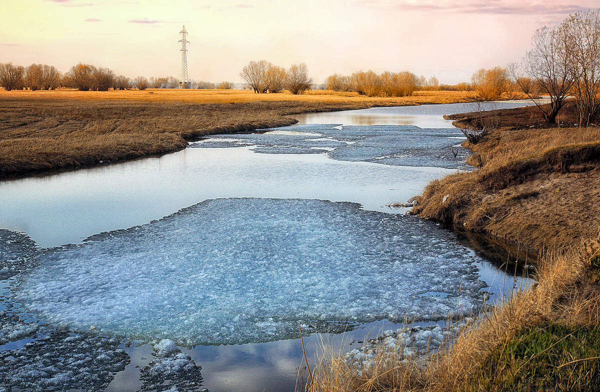 Der Frühling kommt ...