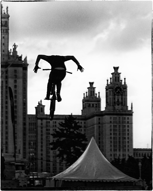 Die Saatkrähen sind angekommen