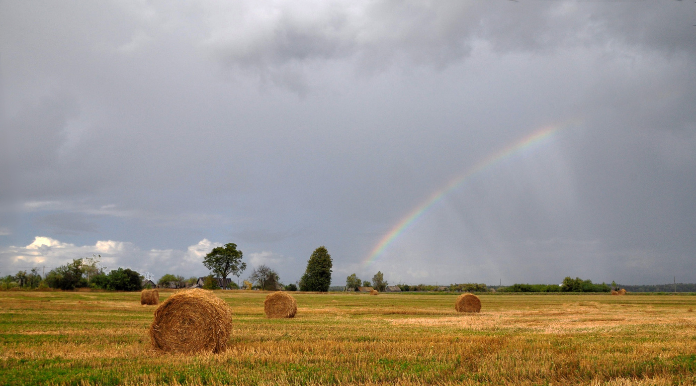 Nach dem Regen