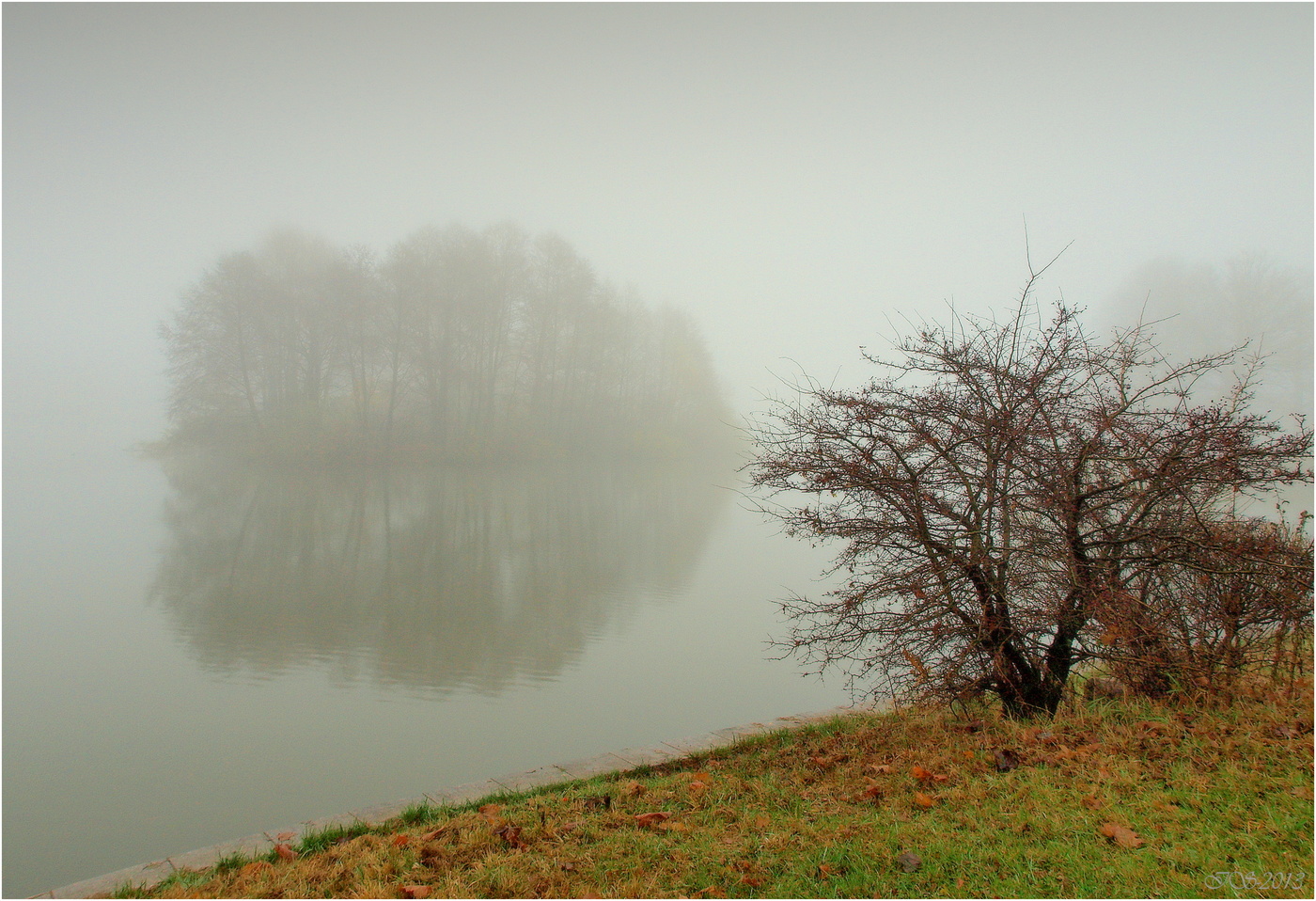 Nebel über dem Fluss