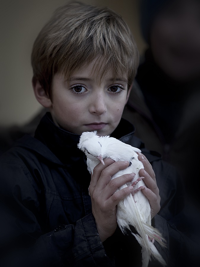 Kind mit einer Taube