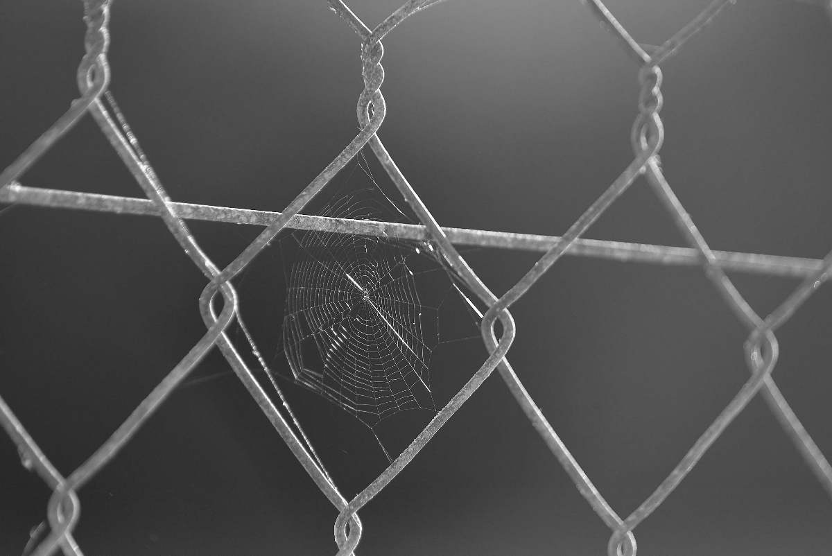 Travushka-muravushka