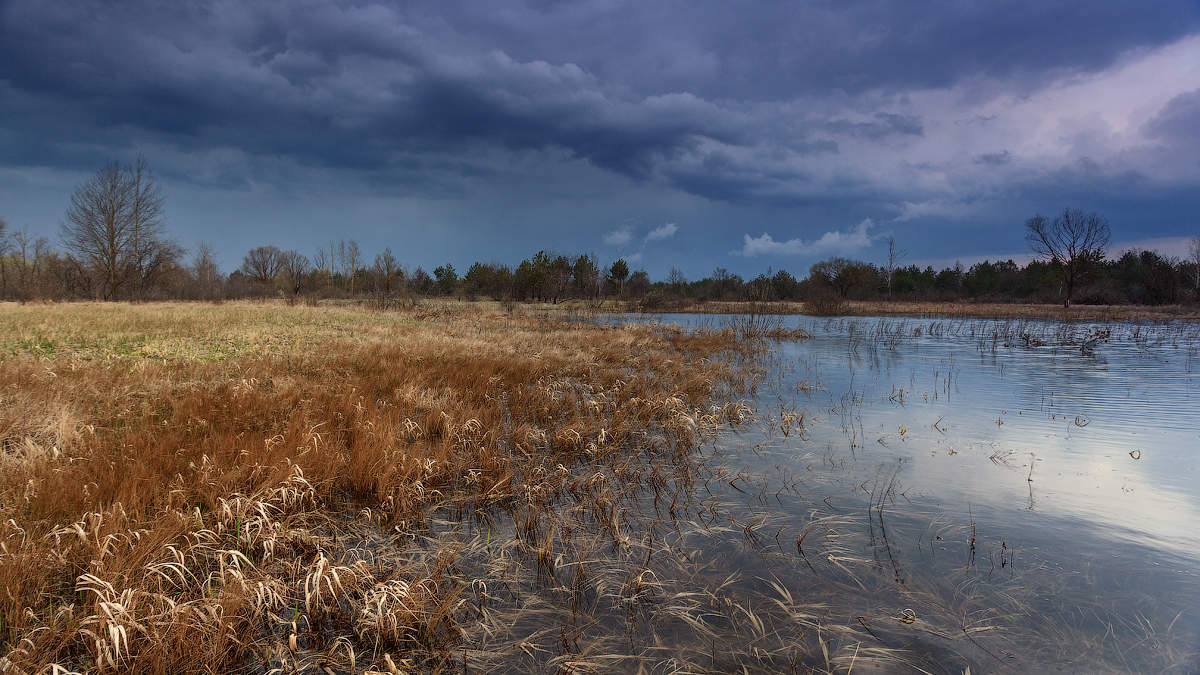 vor einem regen am Donnerstag