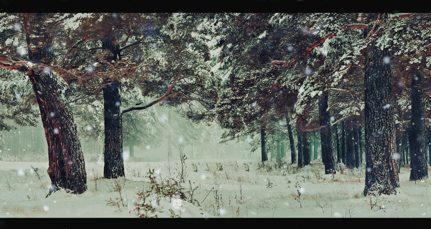 Ein weiterer Schneesturm