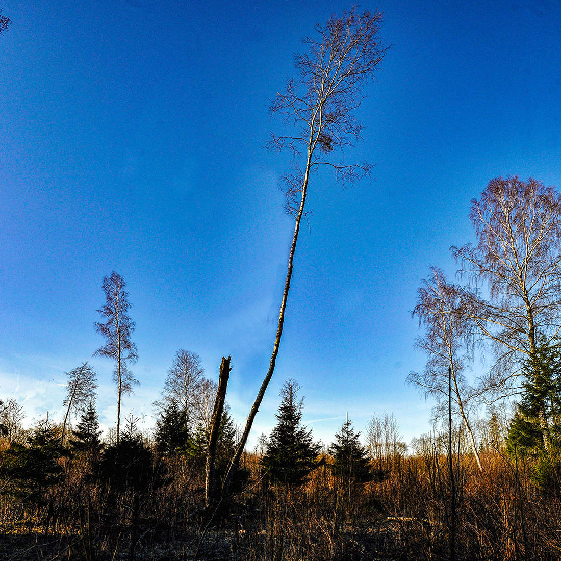 Privatsphäre und Datenschutz