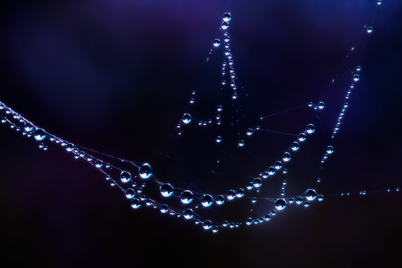 Der fliegende Holländer