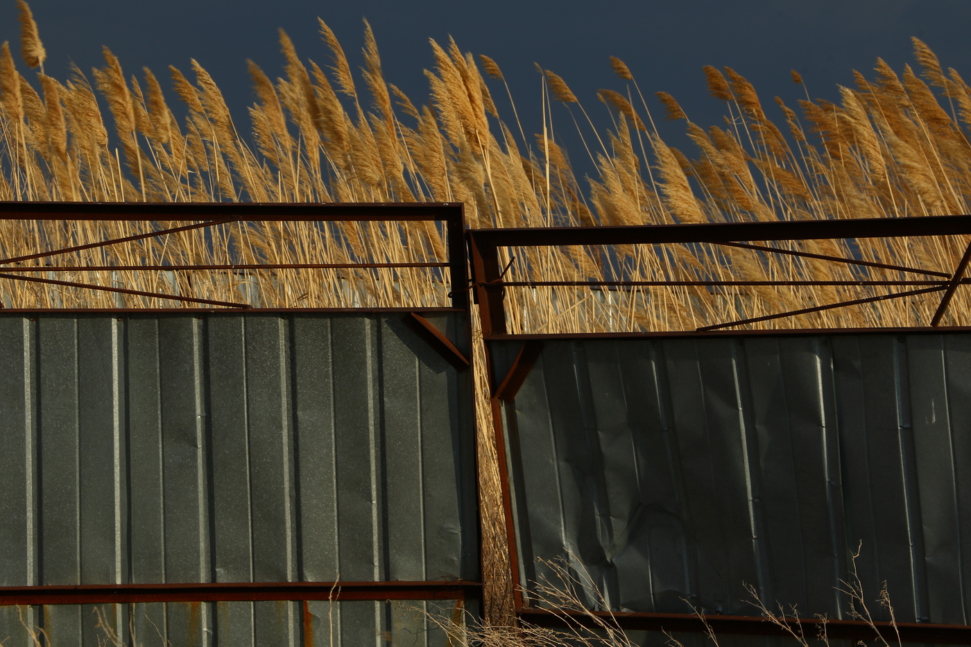 Auf der anderen Seite.