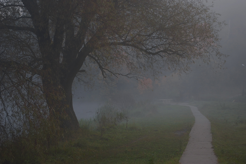 Pered voshodom solntsa.