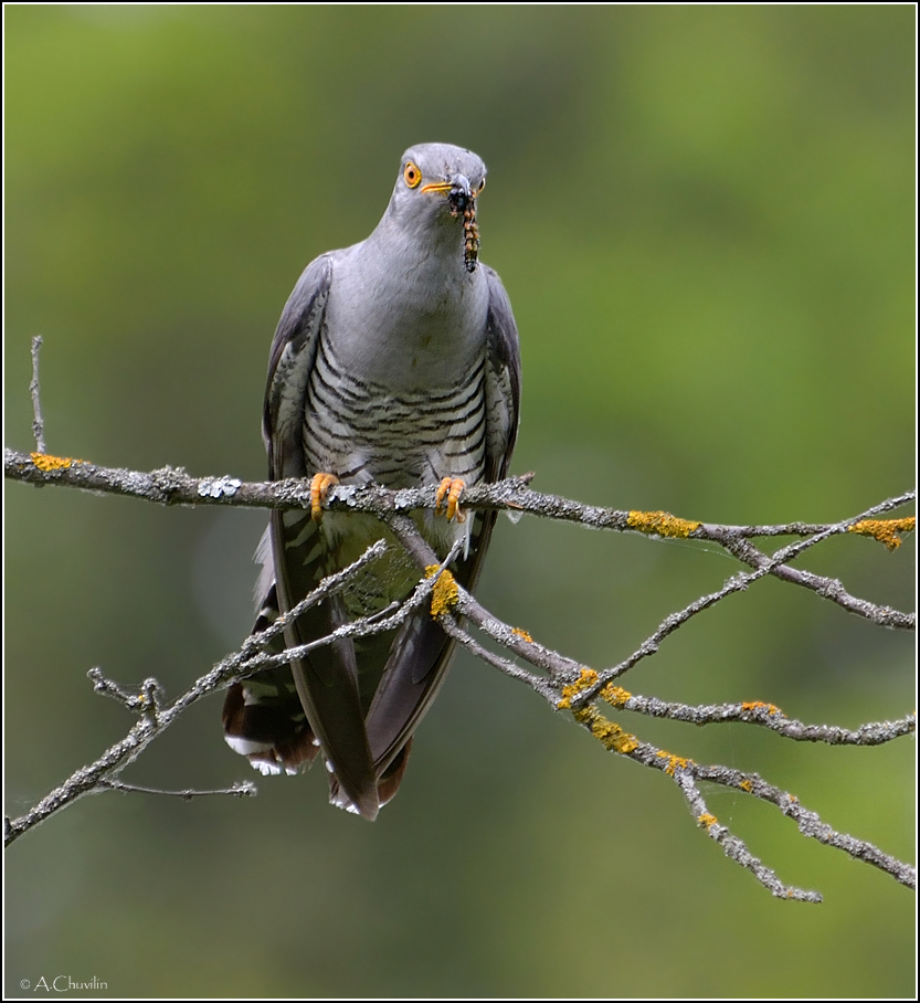 Mit der Produktion von