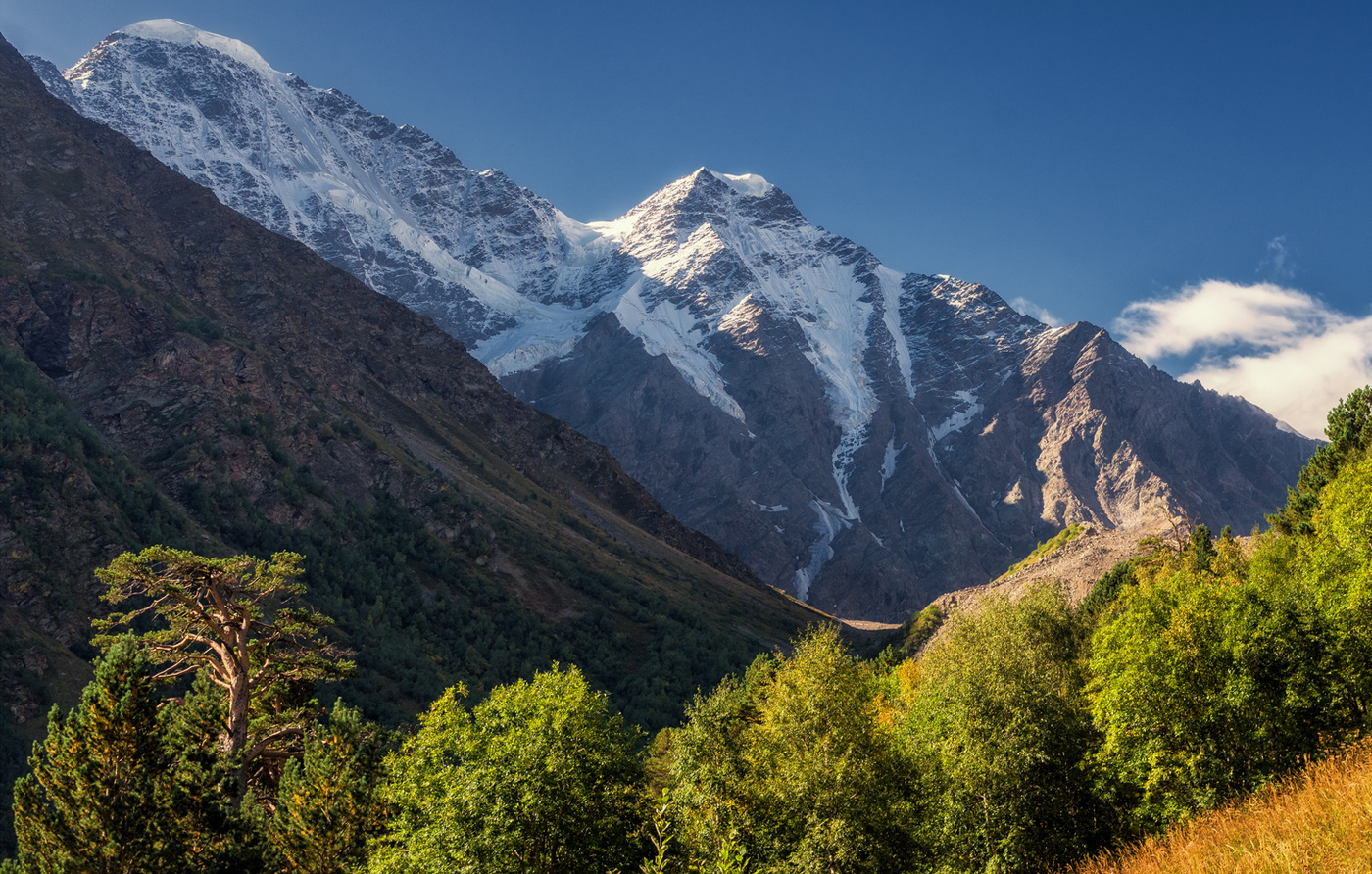 Morgen in den Bergen