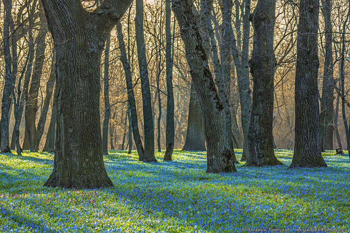 Der Frühling kommt