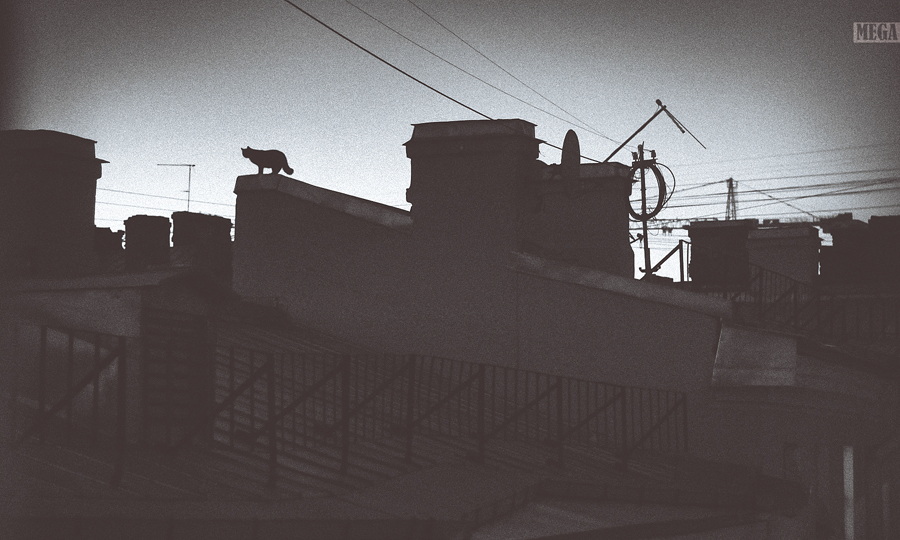 Lang lebe der König!