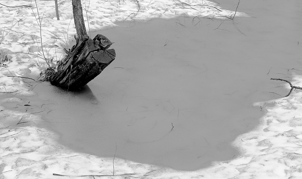 Das Leben geht weiter ...