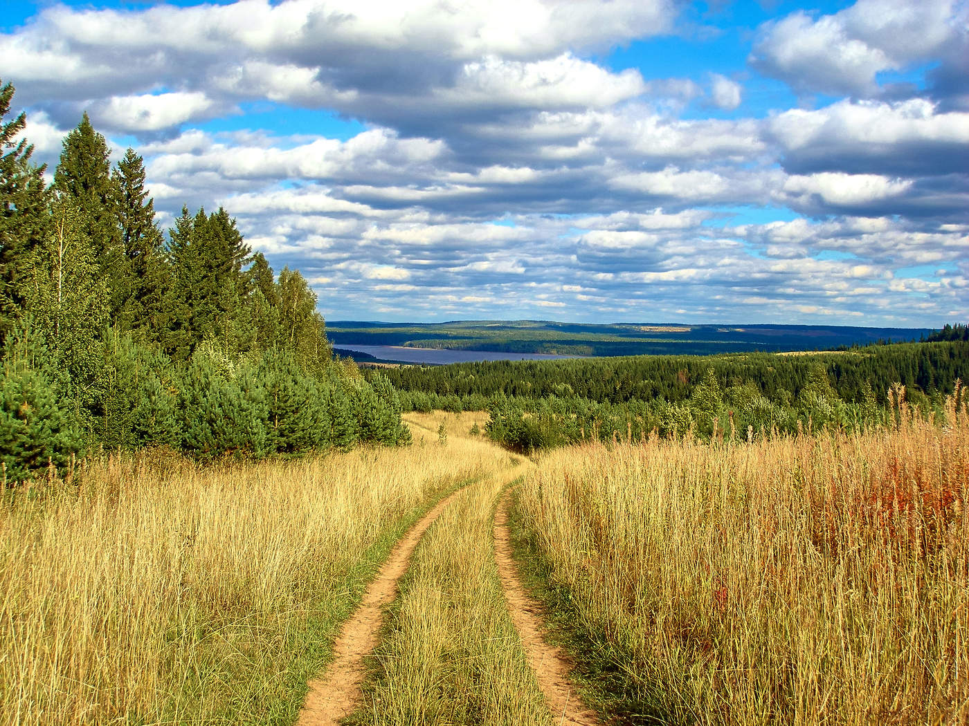 Straße zum Herbst
