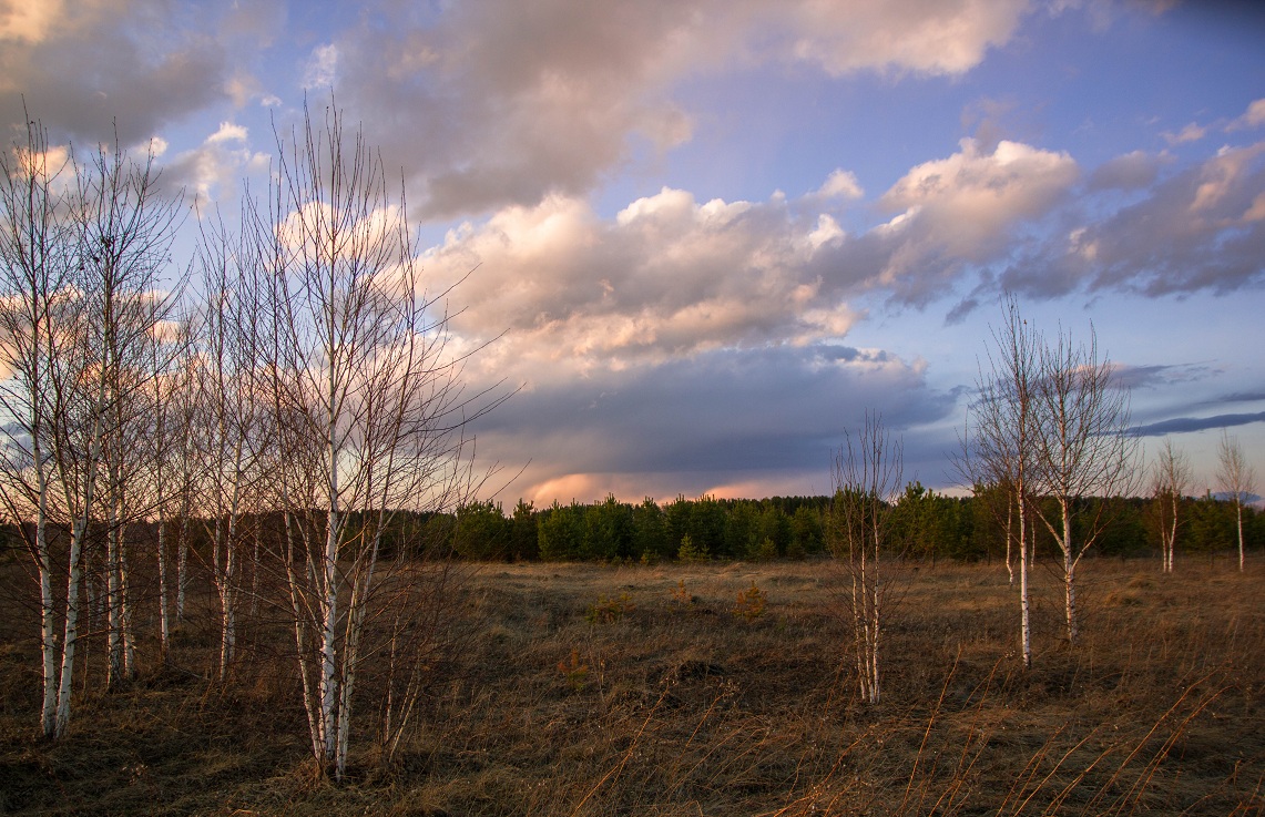 Frühling, Frühling! wenn die Luft sauber ist!