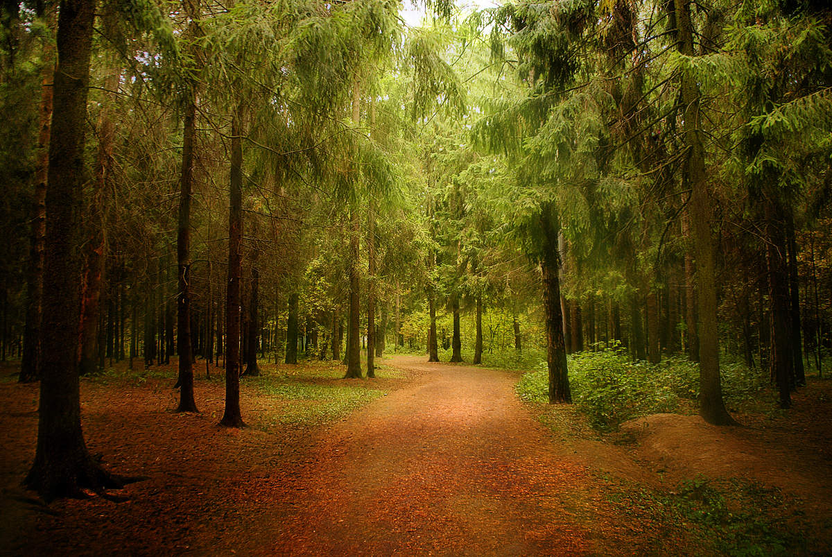 ... Walk in the Park