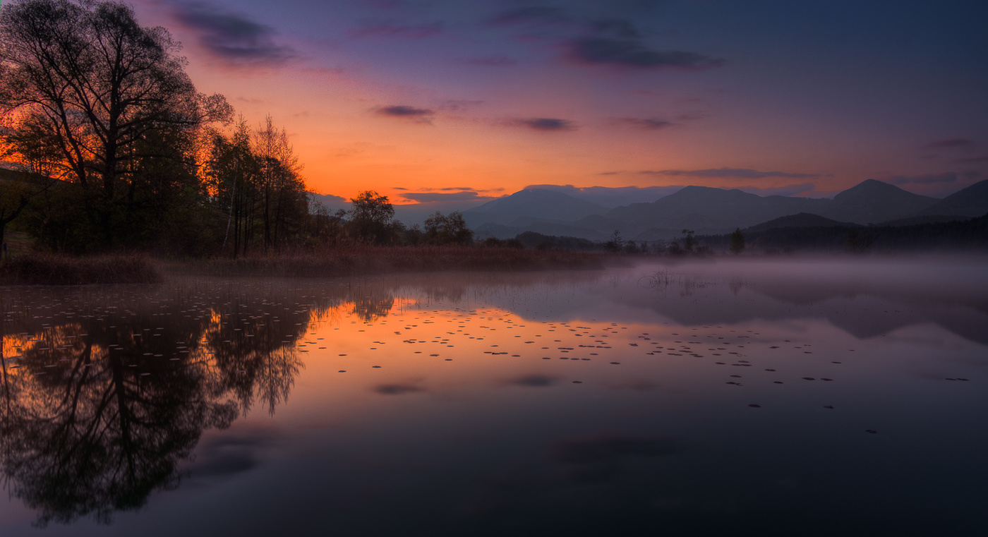 Morgenstimmung am See