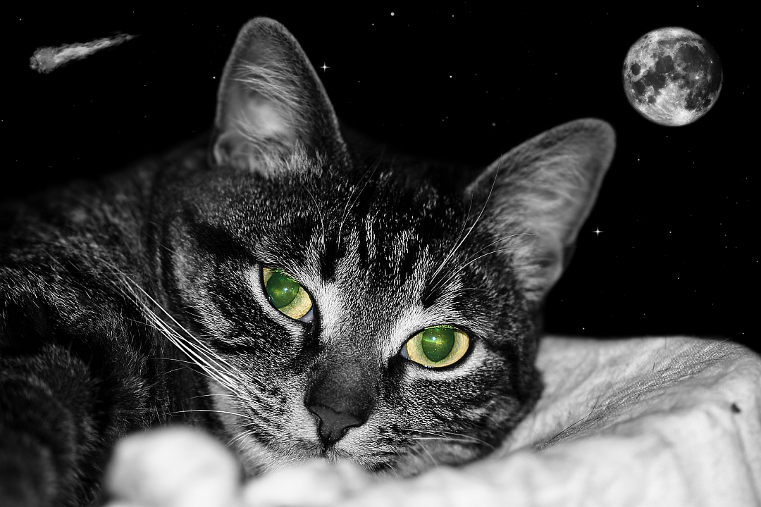 Welt ist nicht genug ...