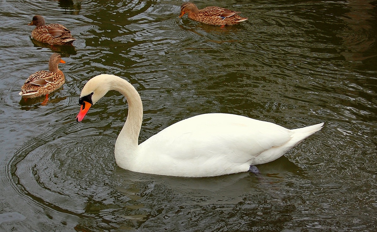 In splendid isolation