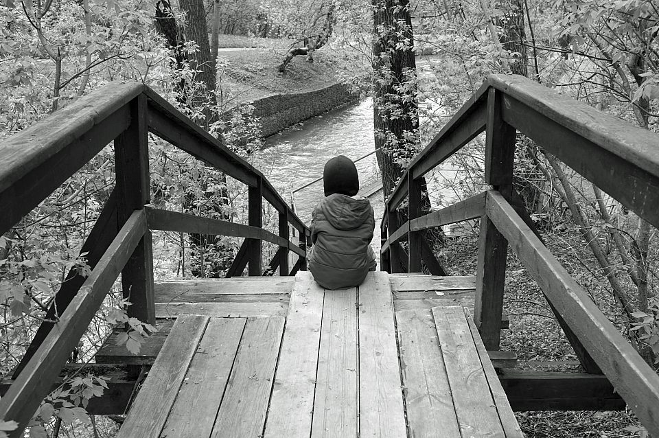 Die Allgegenwart der Bäume waren groß ...