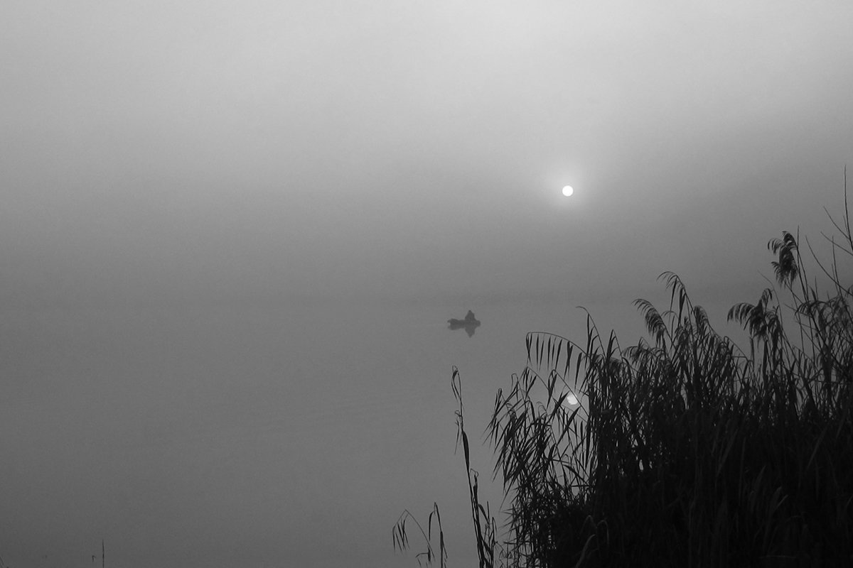 Wollige Nebel