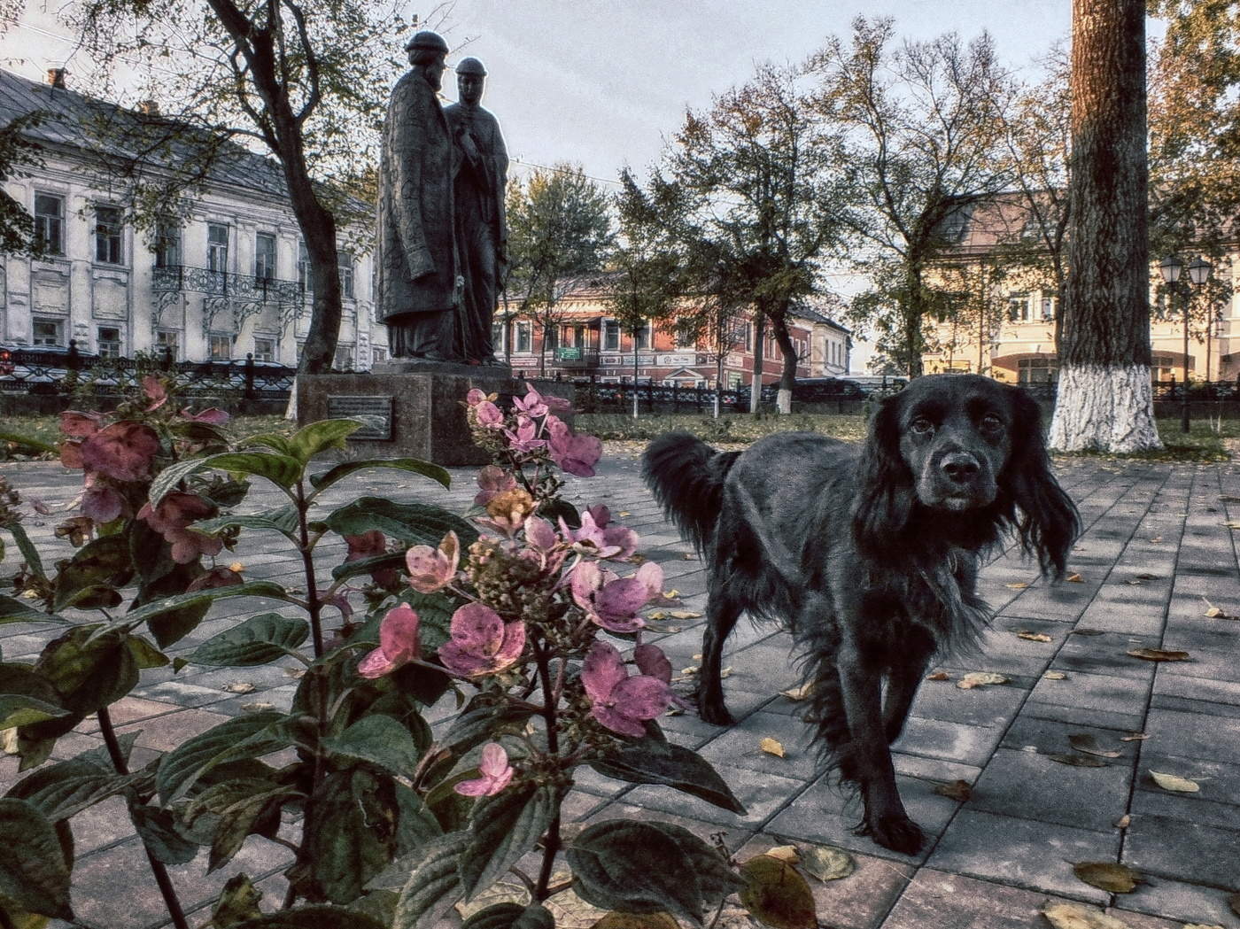 Ein zufälliges Treffen