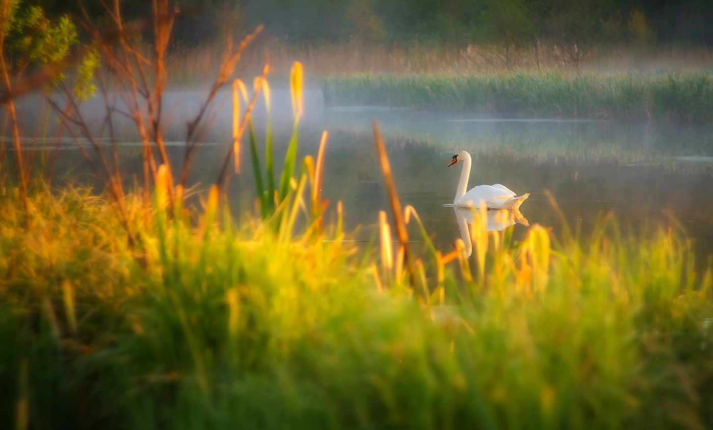 Der Besitzer des Sees