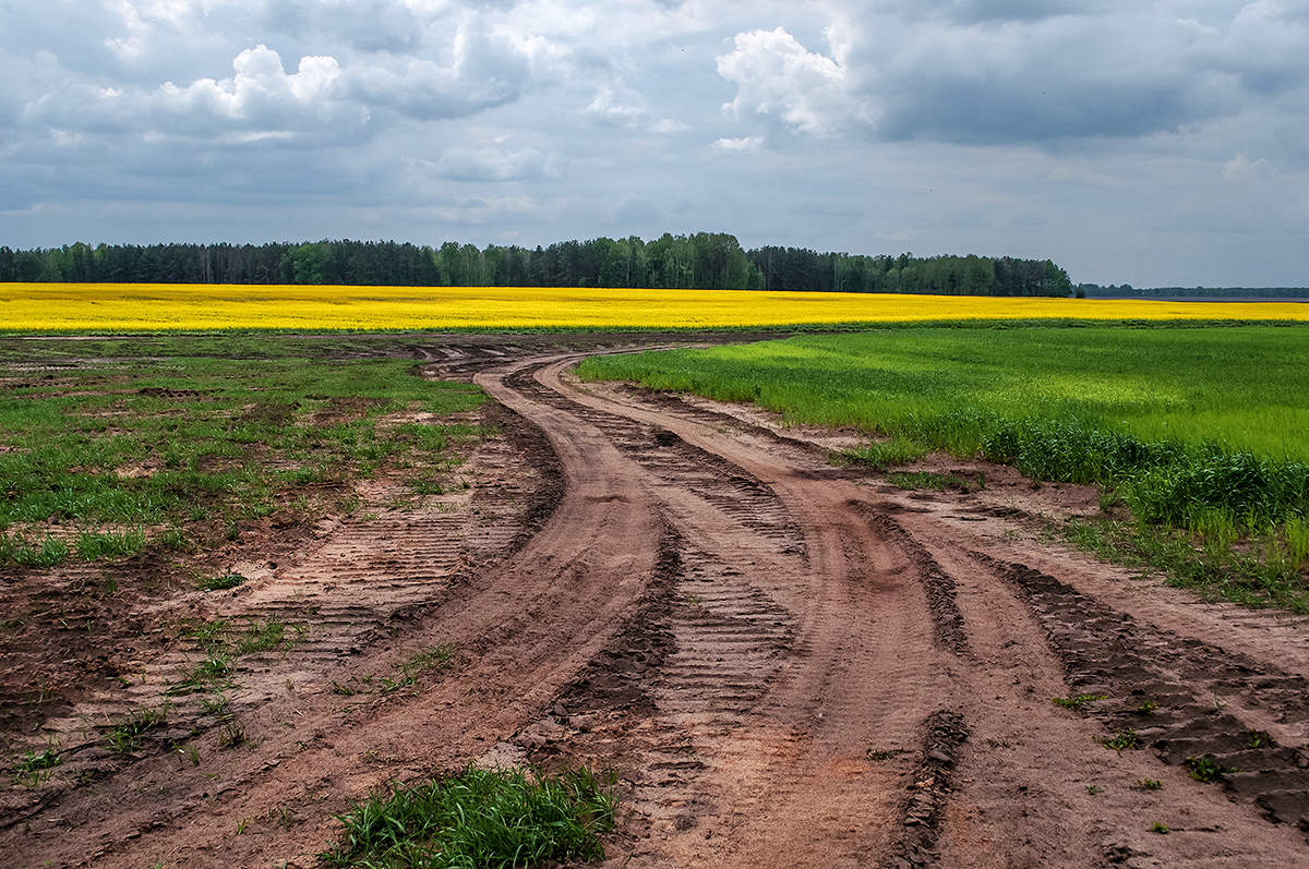 Straße in einem Feld