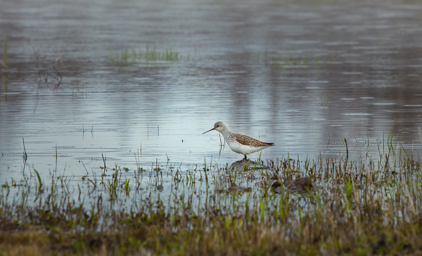 schlechtes Wetter ...