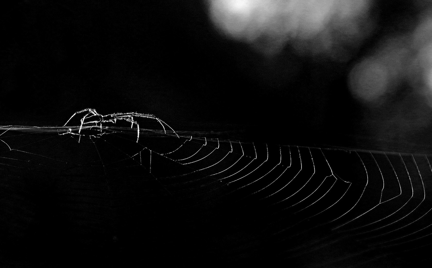 Licht in der Dunkelheit