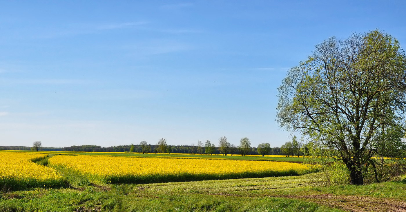Der Frühling ist in vollem Gange