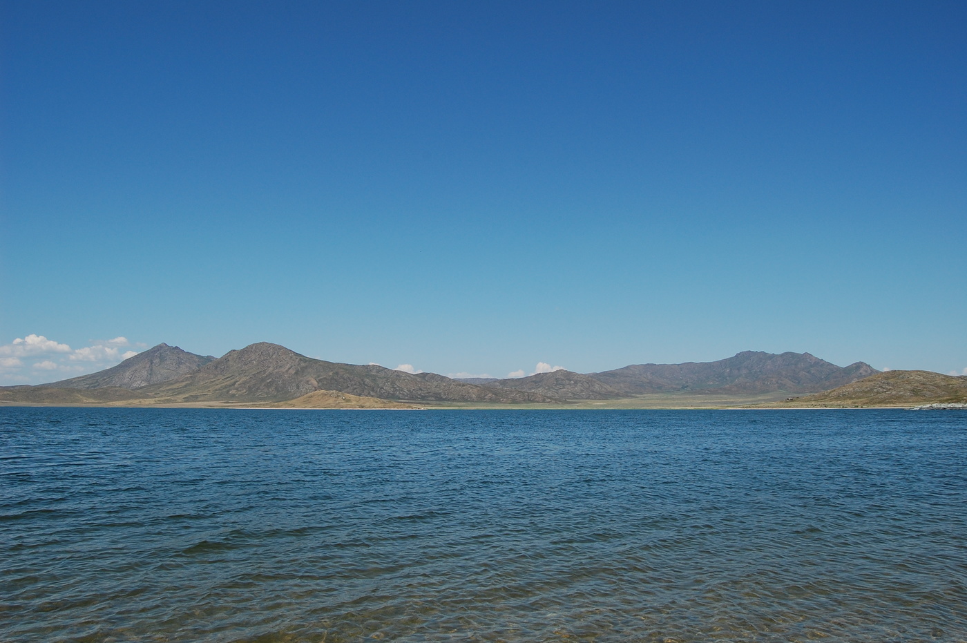 Einheimische Freiflächen