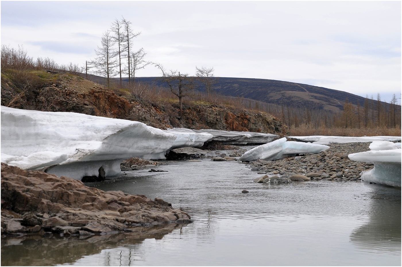 Sommer auf der Halbinsel Taimyr