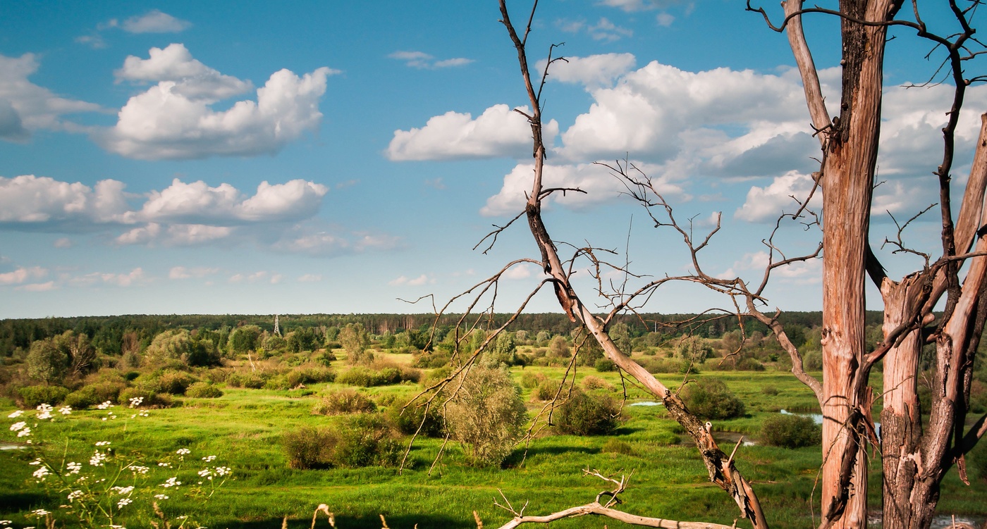 Lebenden und die Toten