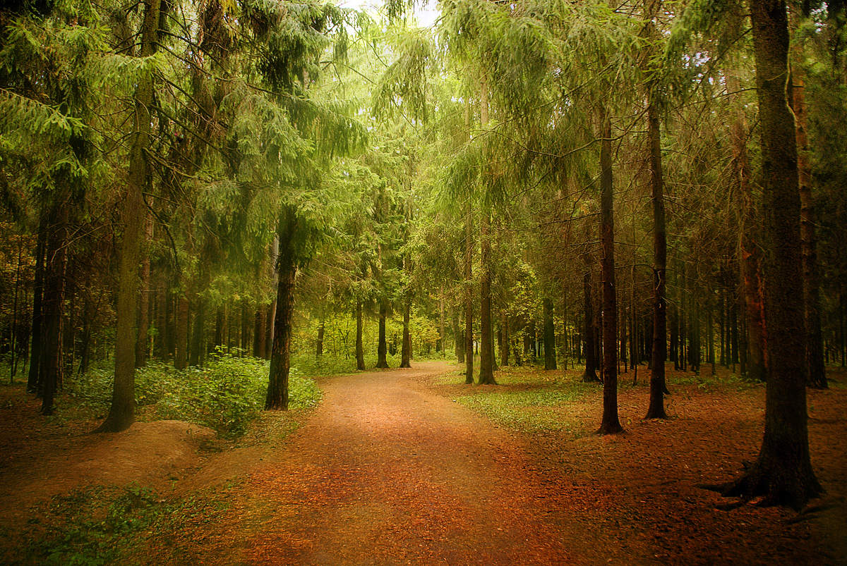 ... Walk in the Park