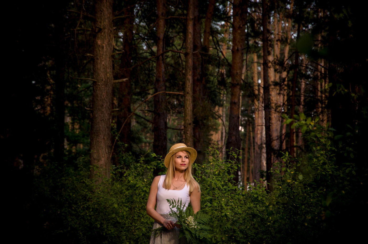 Das Mädchen in den Wäldern