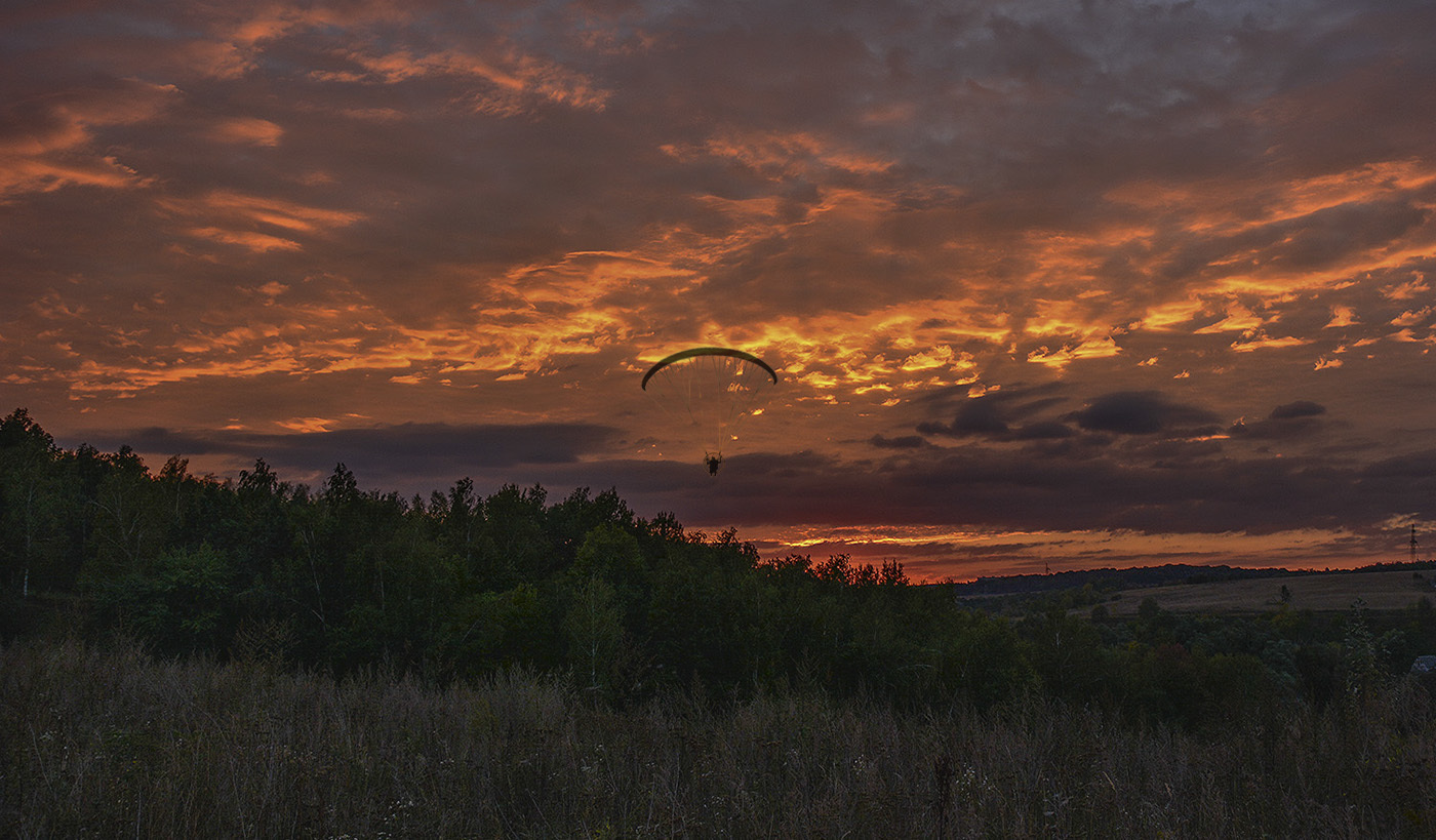 ......................